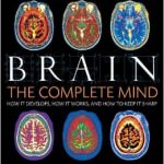 brain the complete mind