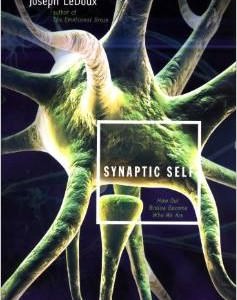 synaptic self