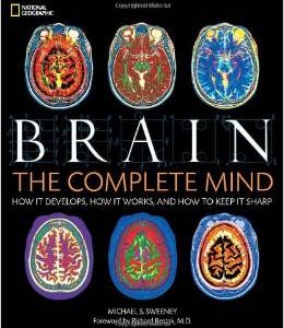 brain the complete mind